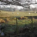 Bed & Breakfast Troutbeck Carlisle (Cumbria)